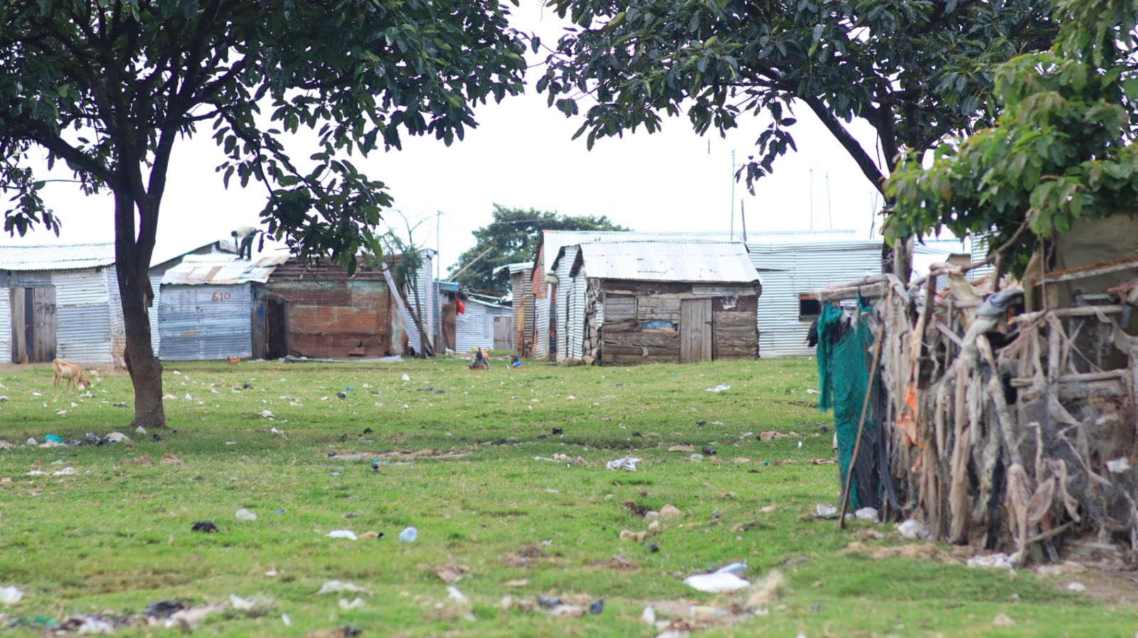 Rebuilding School on Kimi Island: Findings from Our August Field Assessment — field photo 7