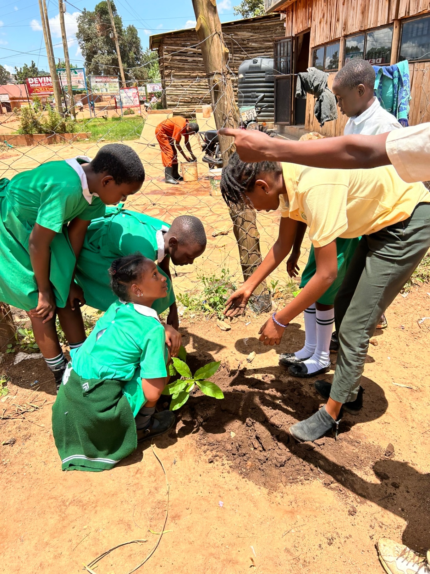School Visit & Environmental Education Training photo 2
