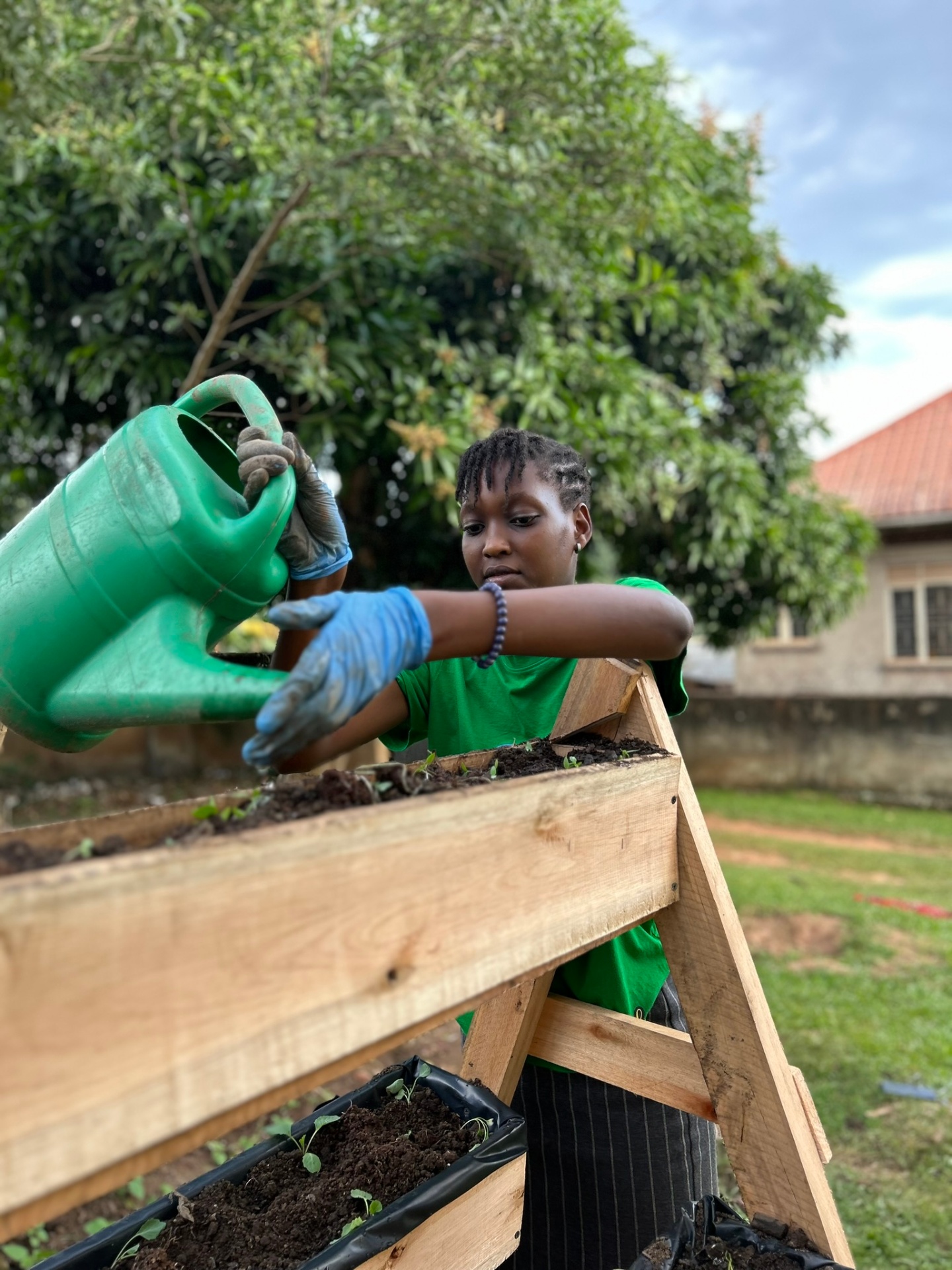 Skilling — Youth Urban Farming & Practical Training photo 4