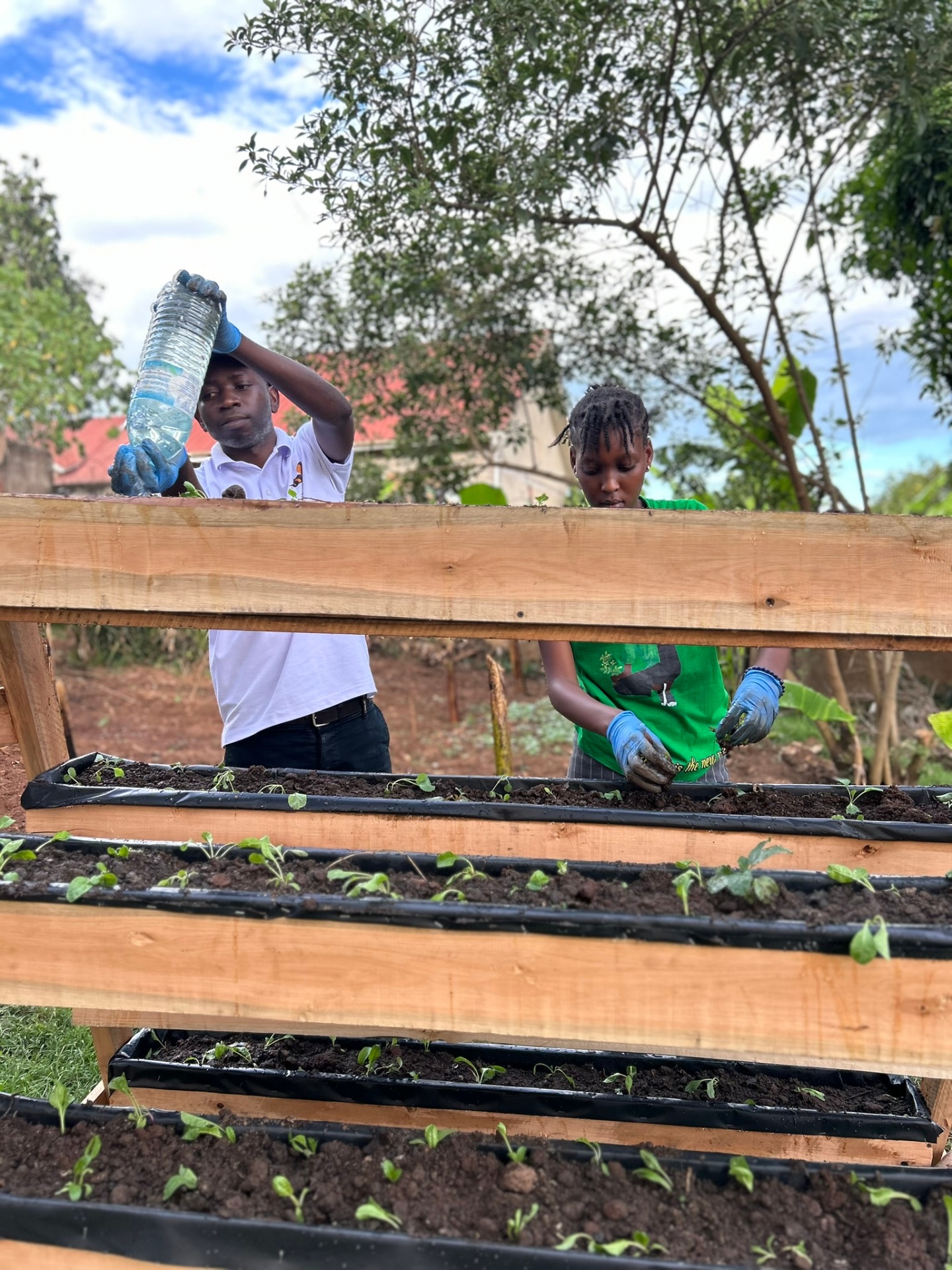 Skilling — Youth Urban Farming & Practical Training photo 5